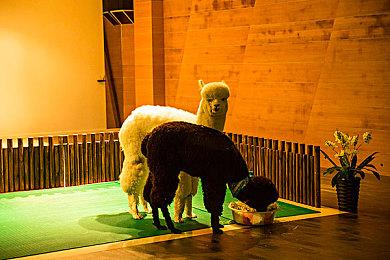 斯宾塞：淘汰实体光盘游戏不是我们的战略目标